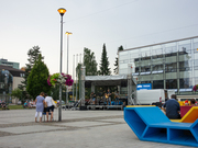 dsc00870.jpg