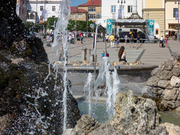 dsc00943.jpg