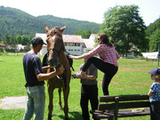 dscn3871.jpg