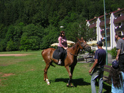 dscn3874.jpg