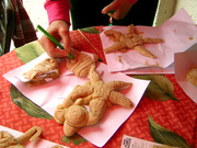 dscn4077.jpg