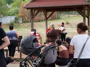 dsc04337-1.jpg