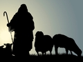 Pastieri, ovce a vlci