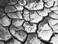 Izraelské technológie premieňajú Afriku a zachraňujú životy