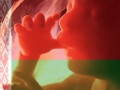 V Bielorusku sa začala modlitebná akcia proti potratom