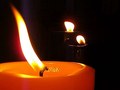 5. květen: Den památky obětí holocaustu