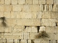 Izraelom otriasli zemetrasenia