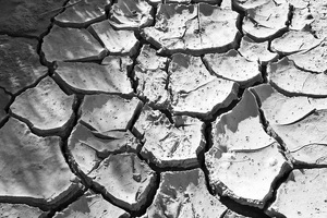 Izraelské technológie premieňajú Afriku a zachraňujú životy