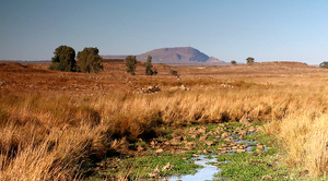 Status Golanských výšin