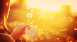 Odkud se bere tvoje naděje, člověče?